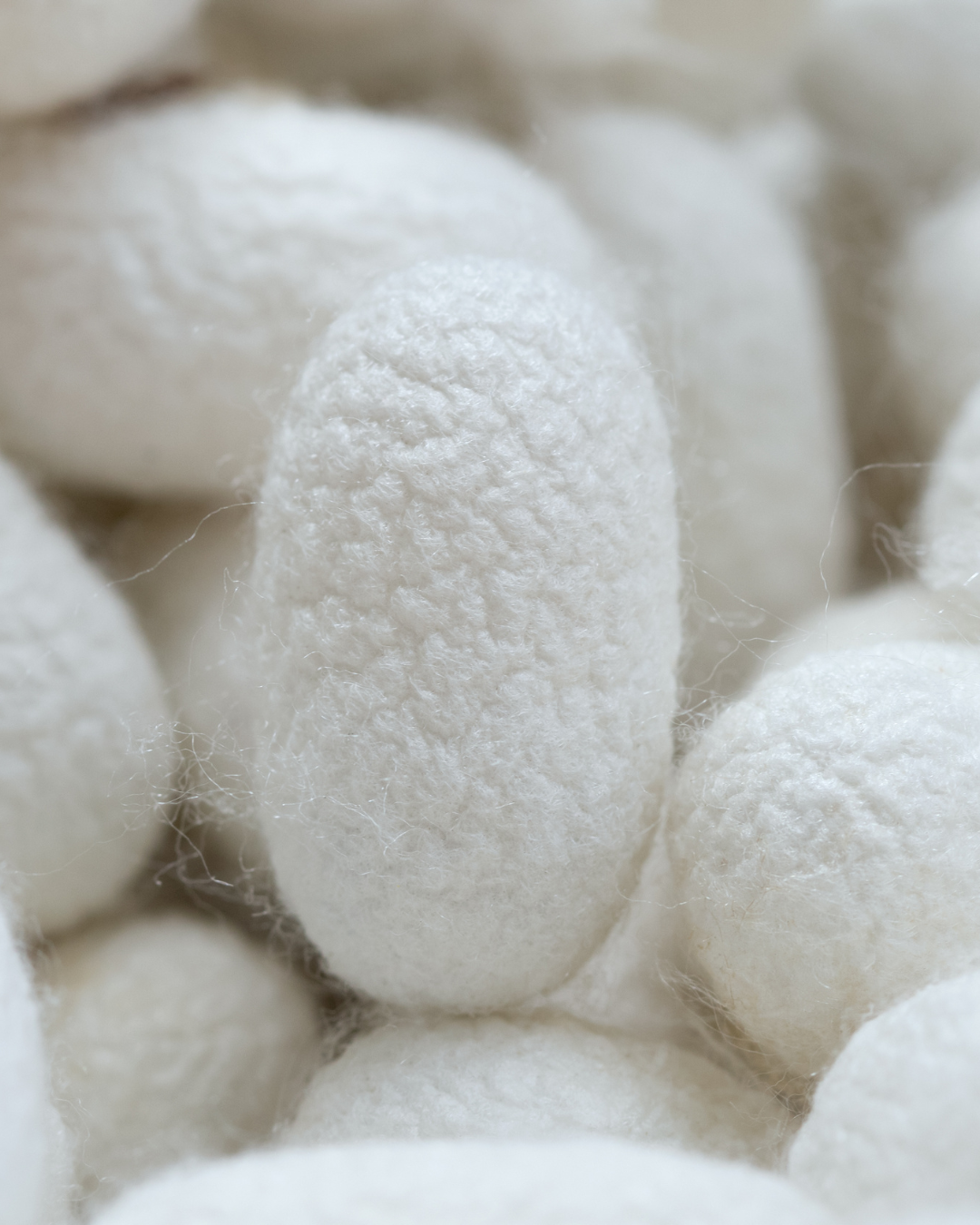 Silk: The Cocoon of Transformation for Skin, Hair, and Soul