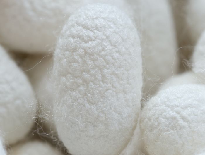 <h2>Image with banners</h2>